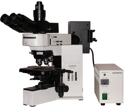 OLYMPUS-BX40-FLUORESCENCE-2